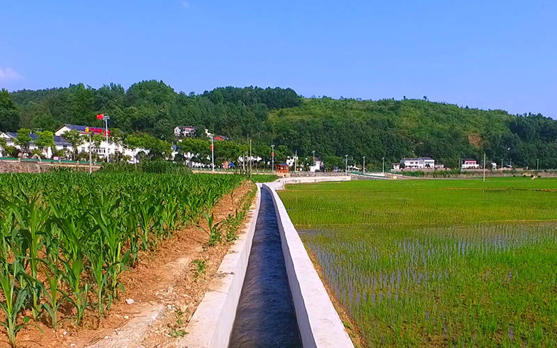 湖北省十堰市郧阳区谭家湾镇黄畈村渠水哗哗稻青青郧阳区大部分属于