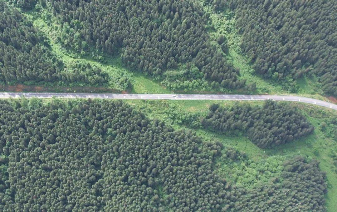 【"四新""四化"新道真】阳溪镇:绿满山川织锦绣