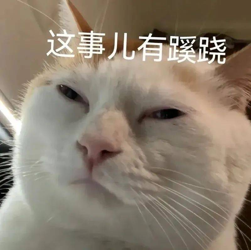 怪猫表情包图片