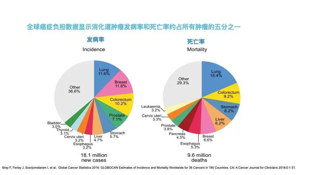 【周三视频】安跟会主任:肿瘤患者营养治疗