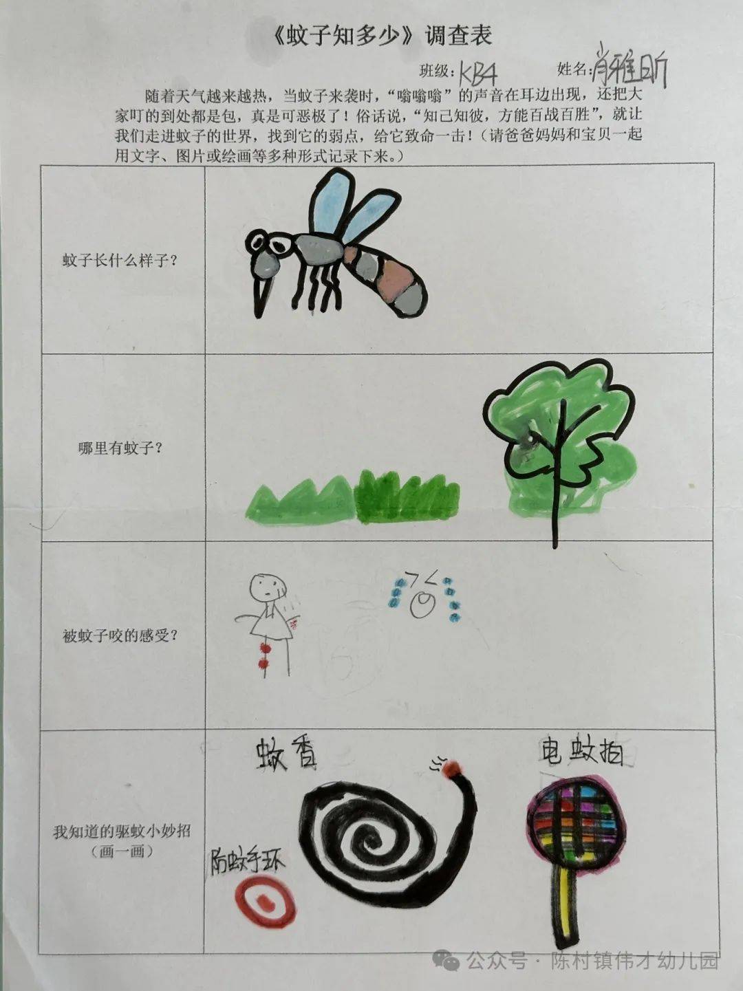 蚊子的外形描写图片