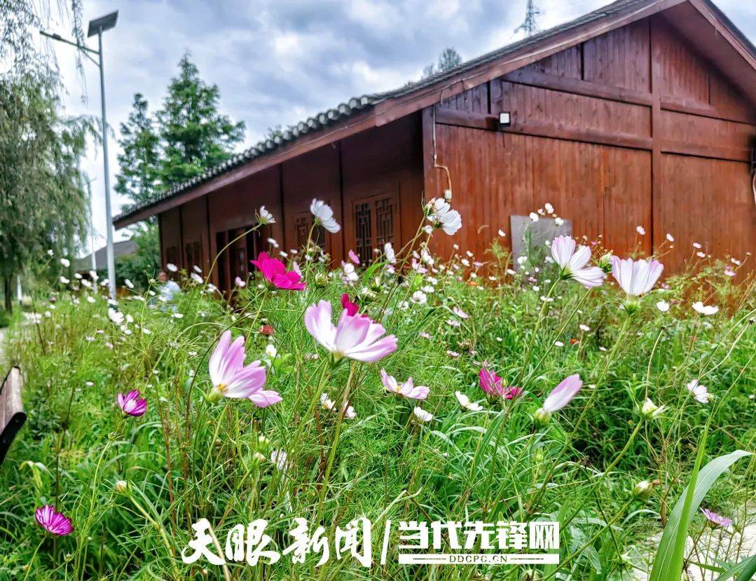 织金县马场镇:特色风光带动乡村经济