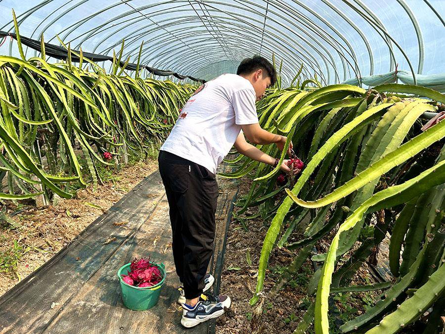 🌸赣南日报【澳门一码一肖一特一中2024】_2024年昆明市儿童友好城市建设亲子乐跑明日开跑！这份攻略请收好