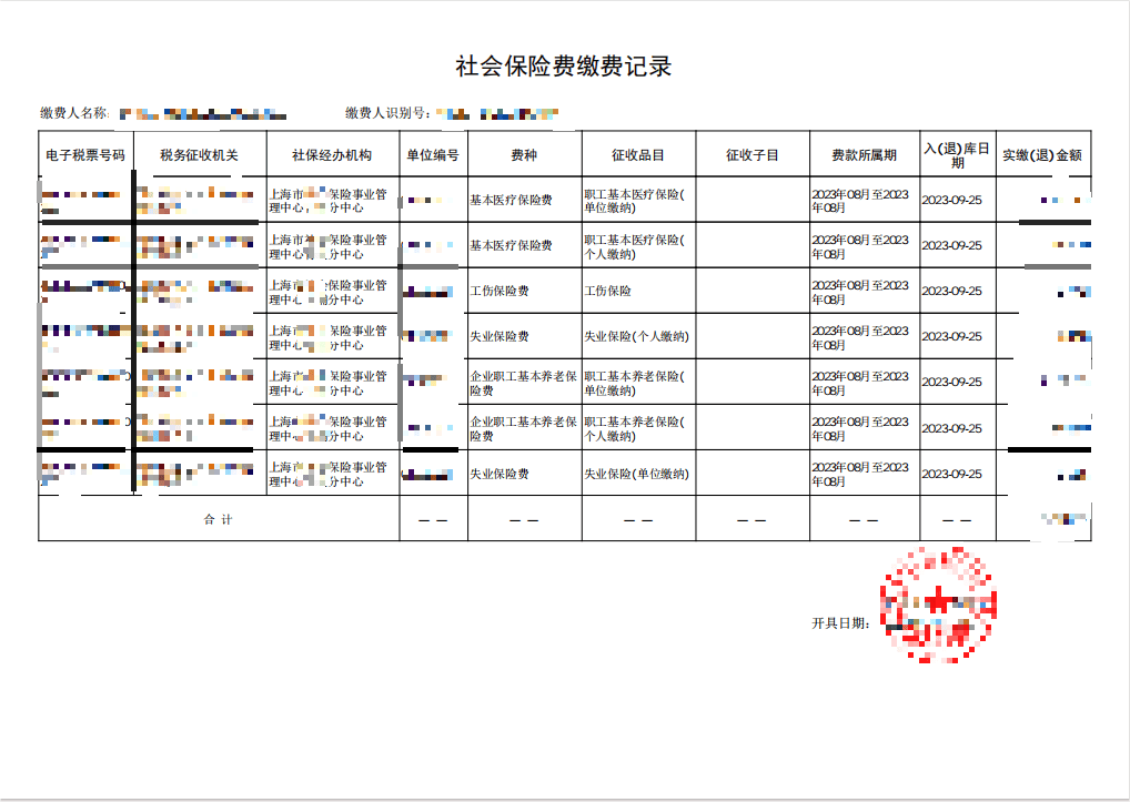 社保缴费明细个人账户图片