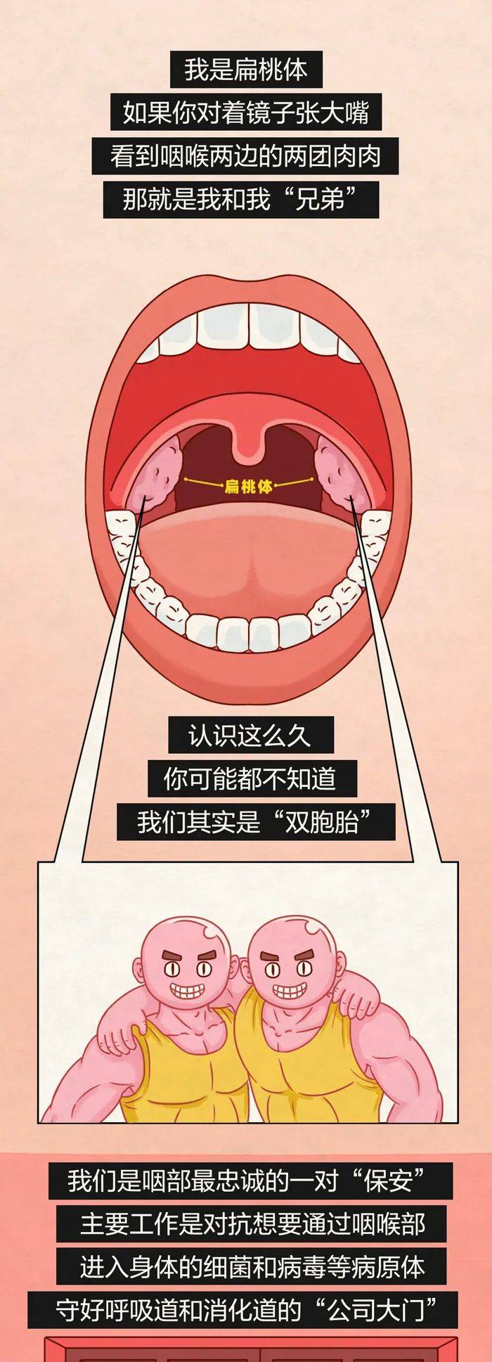 扁桃体发炎对比照片图片