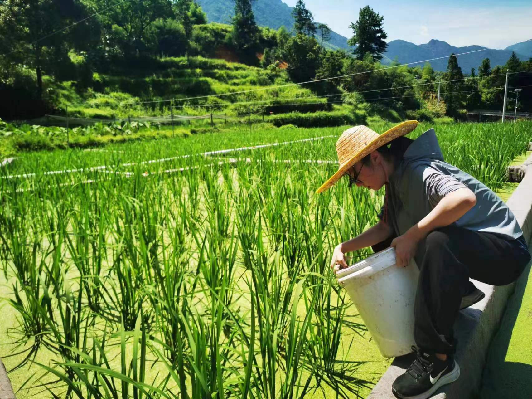 这个暑期,上海海洋大学食品学院2022级生物制药专业的本科生陈薄羽