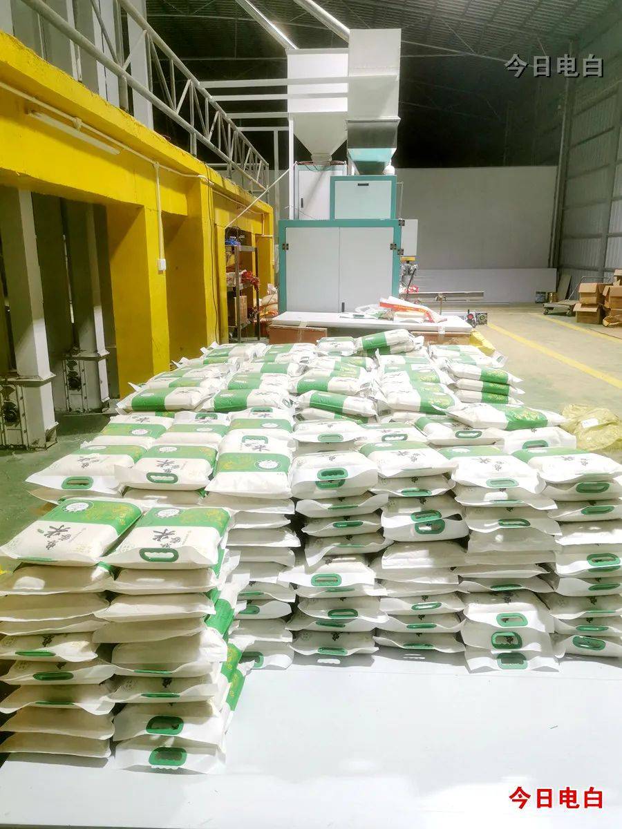 整合村庄闲置土地,打造水稻烘干中心,大米精细化加工中心,古法花生油