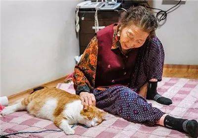 被奶奶带大的橘猫，这画风果然就是跟别人家的猫咪不太一样