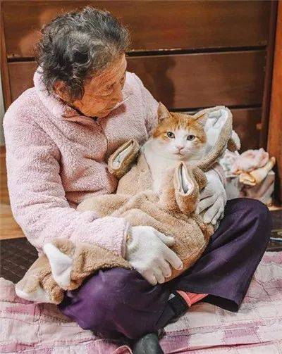 被奶奶带大的橘猫，这画风果然就是跟别人家的猫咪不太一样