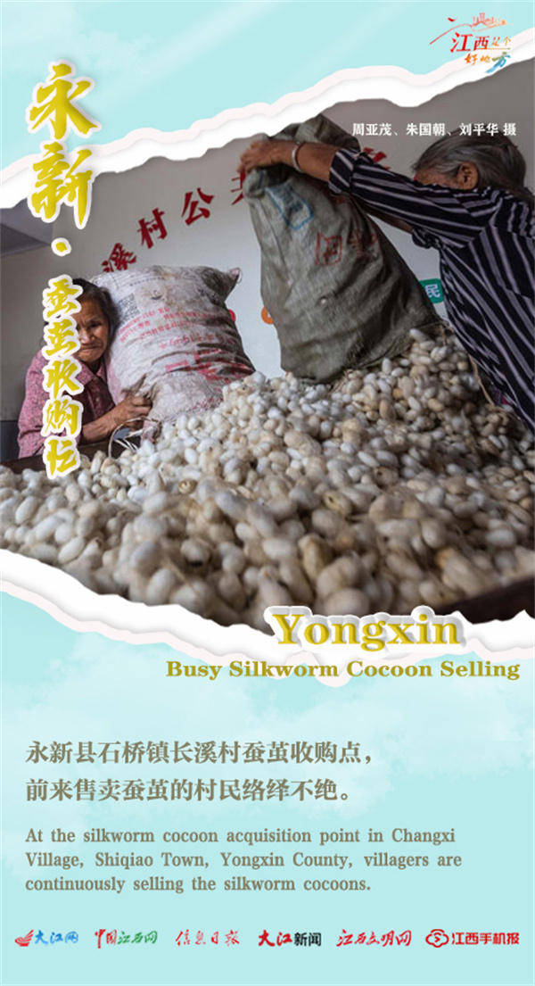 【双语海报】江西:"鱼米之乡"迎来夏日大丰收/the "land of fish and