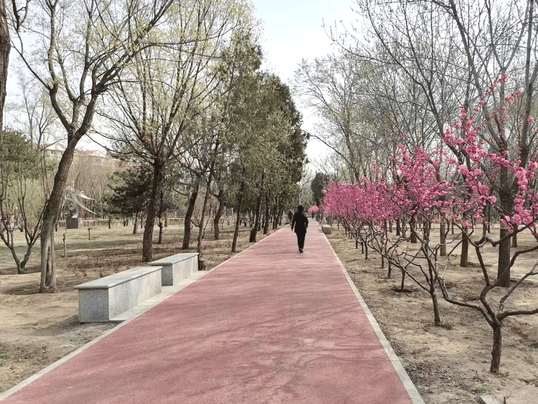 主入口华丽转型,宛平湖广场绿意盎然