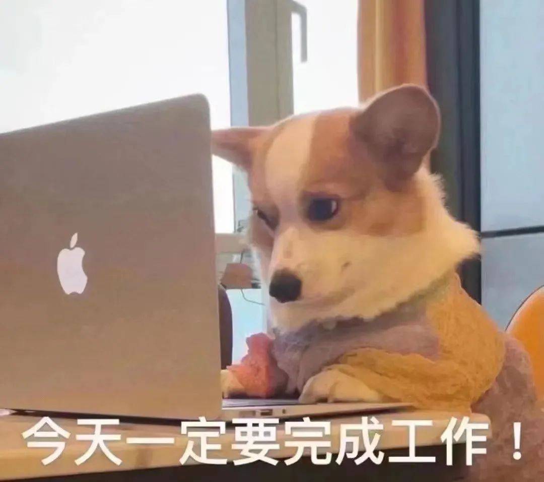 沙雕搞怪表情包:我要骂死你