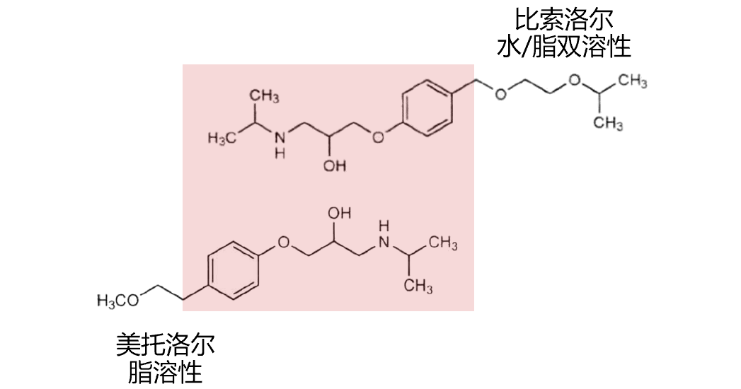 比索洛尔与美托洛尔图片