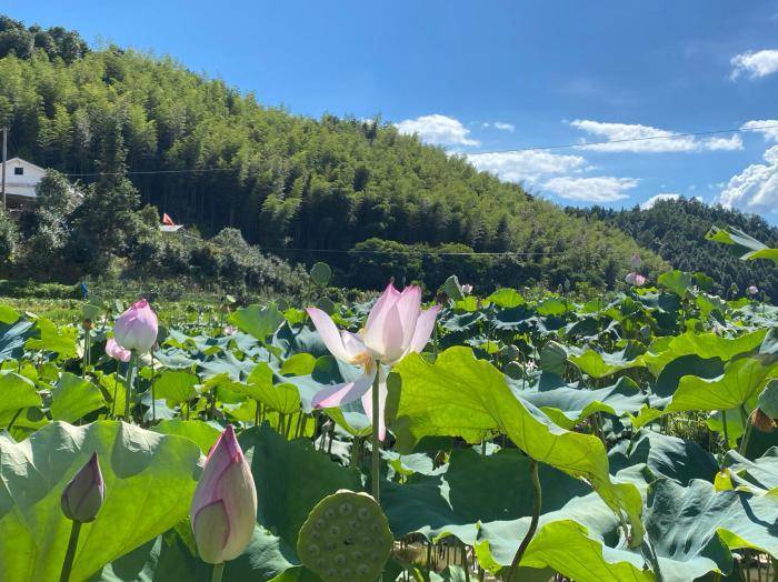 新闻：澳门一肖一码100准免费资料-长沙各地各部门各单位扎实推动党纪学习教育