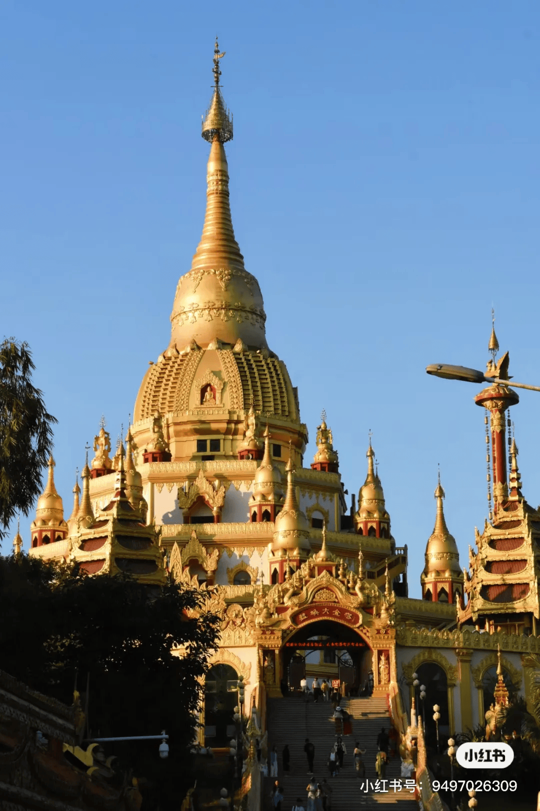 出发·去旅行 | 州庆"小长假",来芒市沉浸式旅游吧!_景区_大金塔_孔雀