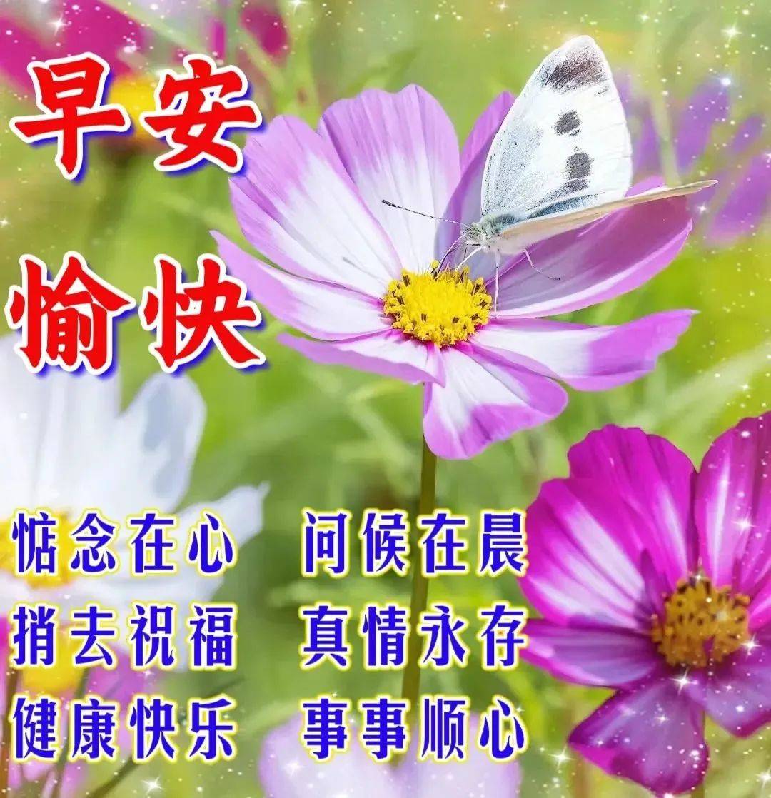 早上好清新鲜花图片