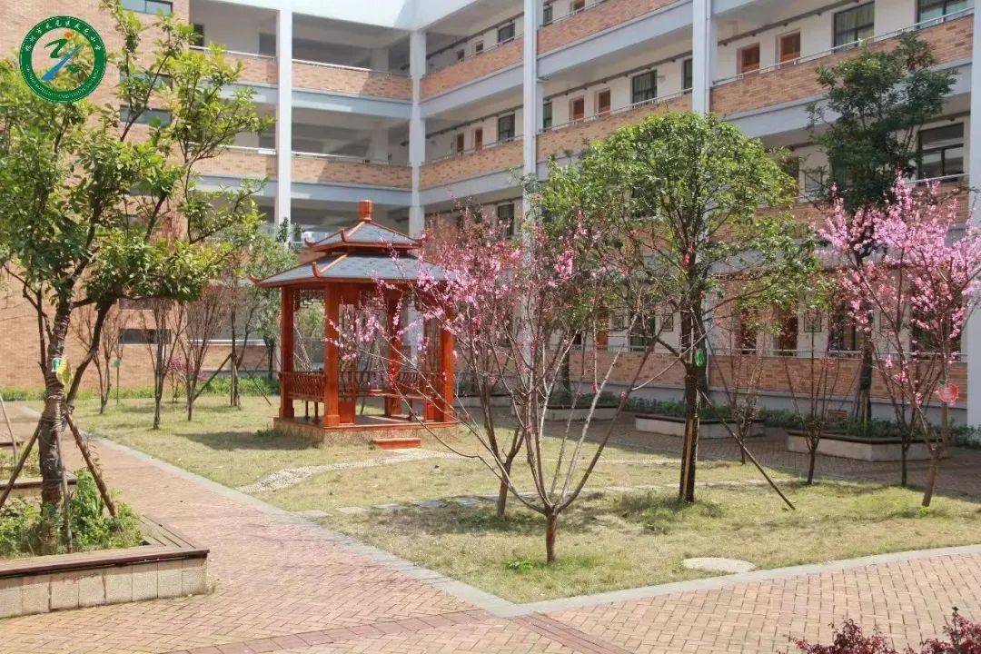 天元小学2024年秋季公开招聘编外合同制教师公告