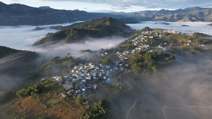 临沧镇康:培养"乡村ceo" 打造乡村人才振兴升级版