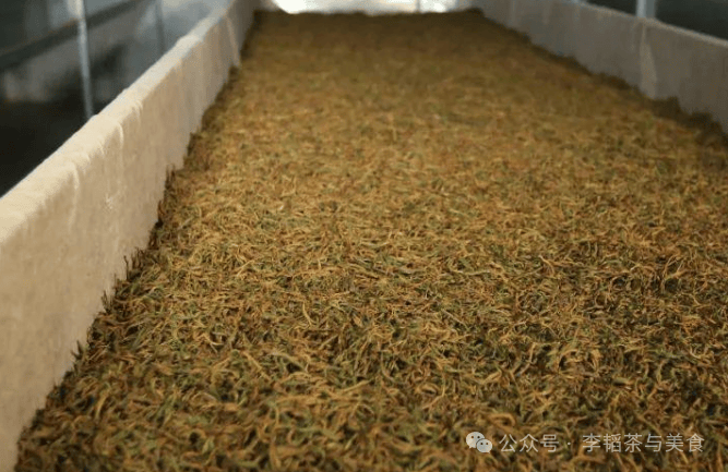 红茶的工艺重点:发酵