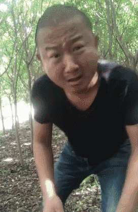 目不识丁,一肚子草包,究竟是哪些人捧红了这些跳梁小丑?