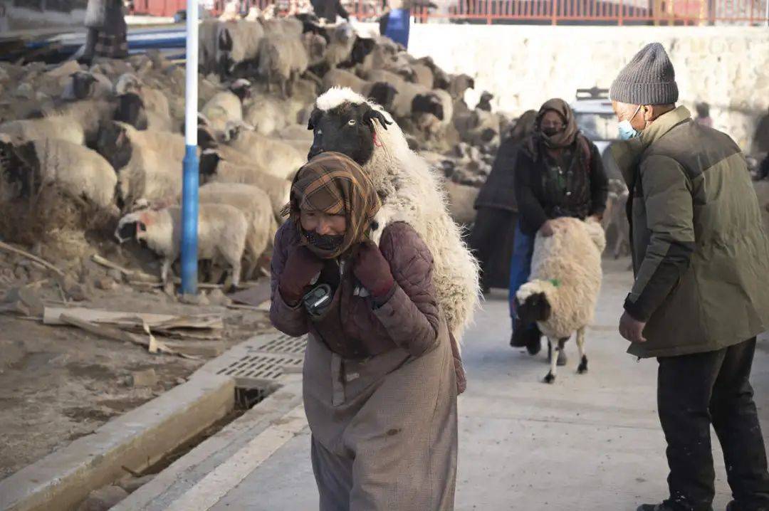 哲古镇:风,牛羊,发电机