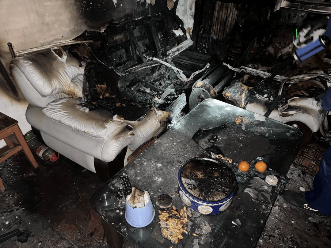 一别墅发生火灾,只因户主出门将它们"留守"家中