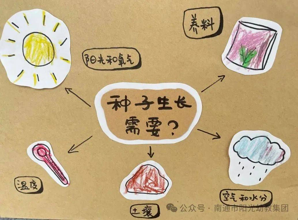 【阳光城堡园】花花世界———小一班班本课程_花朵_幼儿园_生活