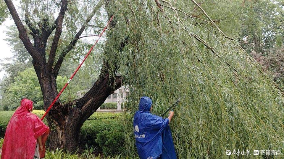 🌸中国证券报【澳门今晚必中一肖一码准确9995】_首个数据要素国际标准立项，引领智慧城市数据开发新纪元