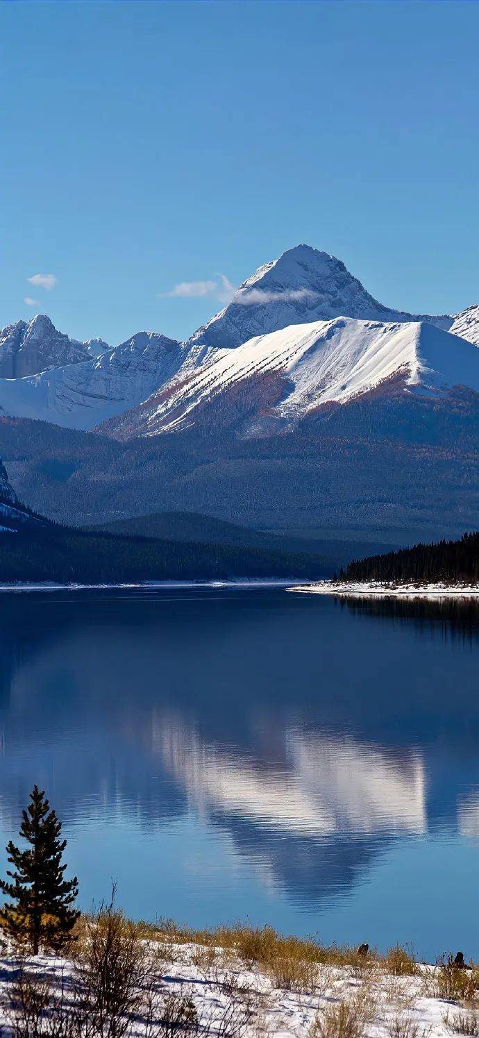 壁纸|超耐看的全面屏壁纸 676767