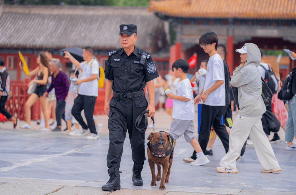 警犬_工作_训导员