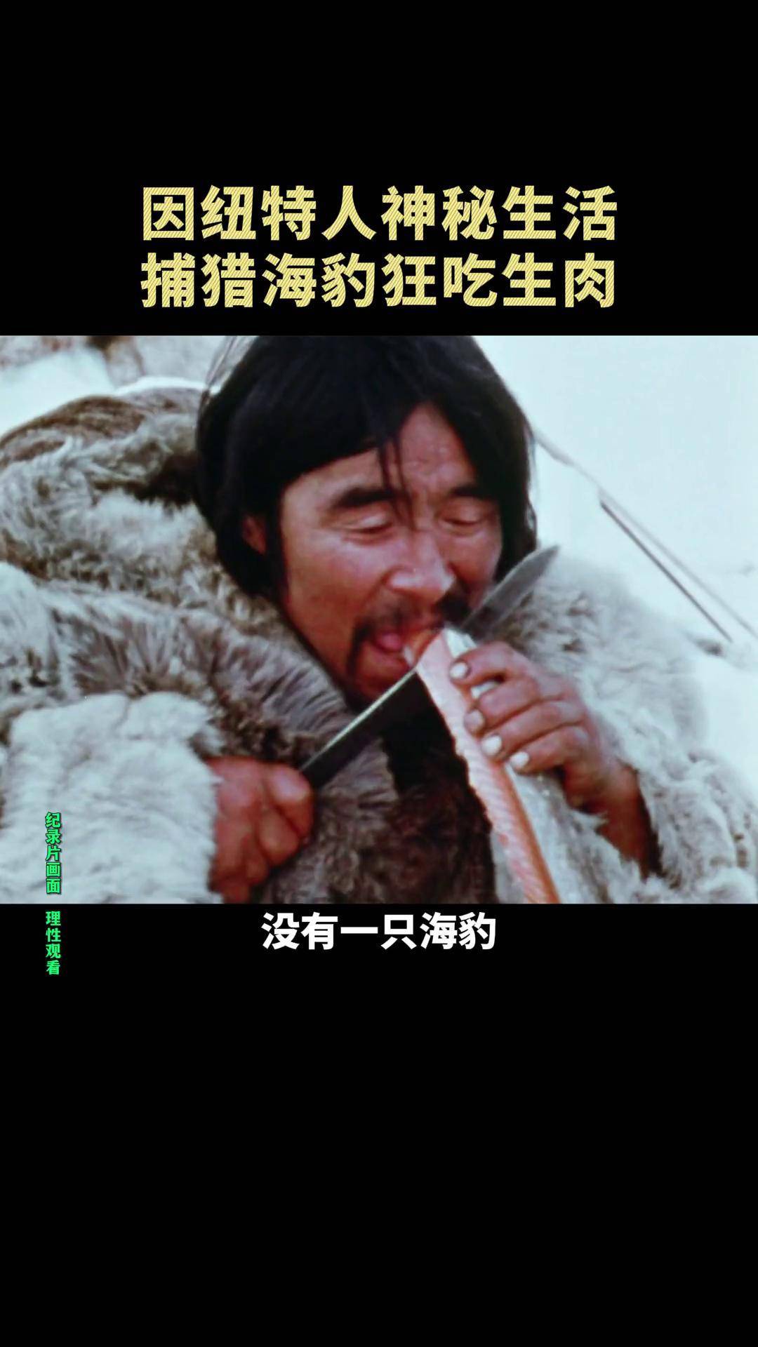 因纽特人的神秘生活,仅凭一根羽毛,便可钓百斤海豹 纪录片 因纽特人