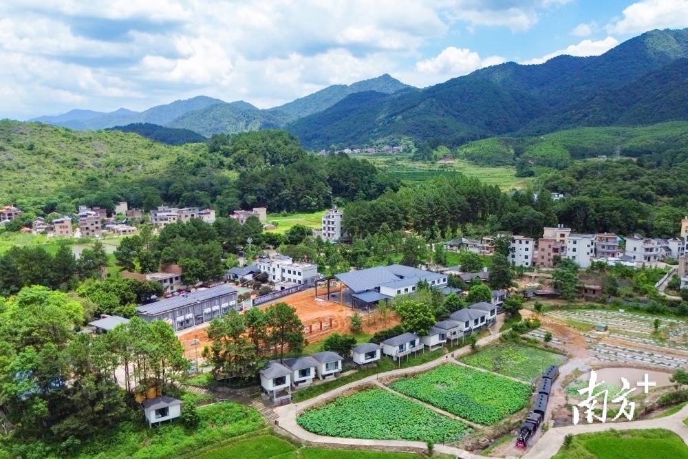 群众当主角 共享乡村美|"百千万工程"连州实践有活力