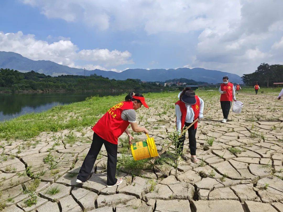 巾帼志愿者们用实际行动倡导全民参与爱河护河,共同保护生态环境