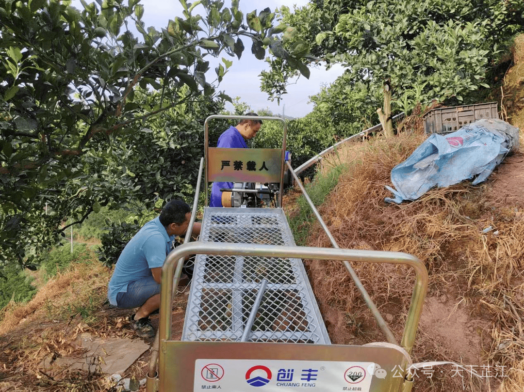 罗卜田乡:山地果园运输机助力农业现代化_运输车_轨道_芷江