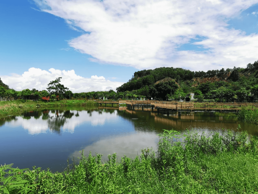 儿童娱乐等功能于一体集湿地游玩,健身休闲鲤鱼山生态湿地公园等活动