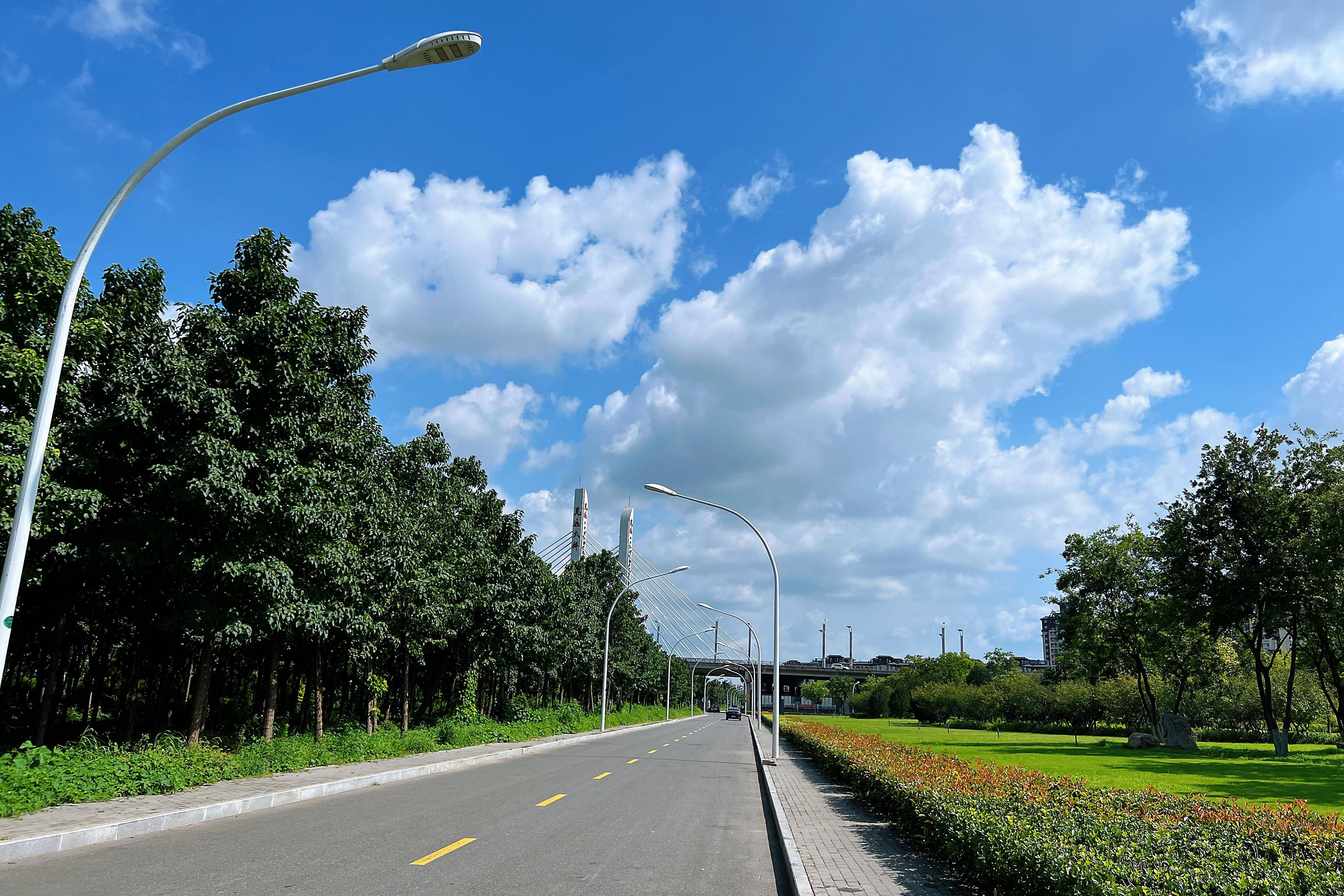 阵雨_未来_城市
