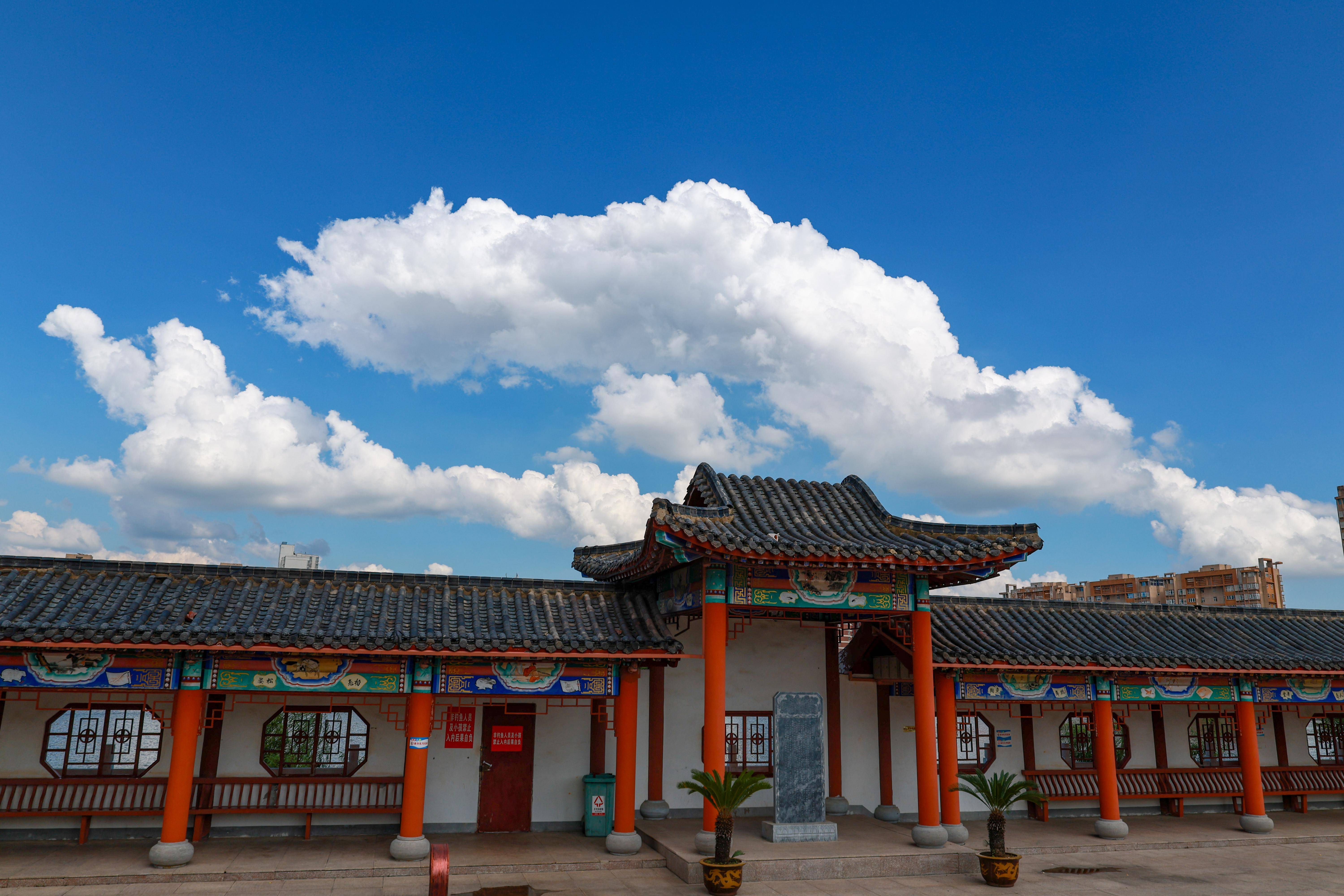 在"柘城蓝"的背景下,随处一个景点,都不需要"滤镜",随手一拍就能拍出