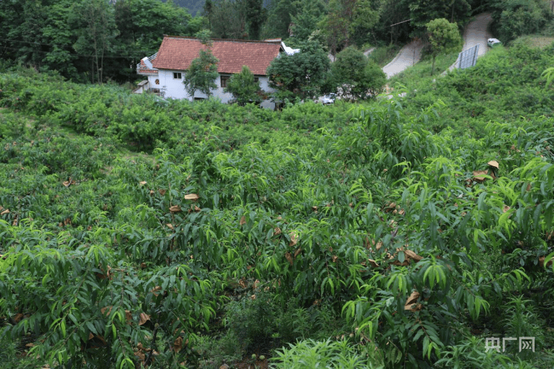 🌸猫眼电影【澳门一肖一码100准免费资料】_重庆市首家医院城市书房在渝中区开放