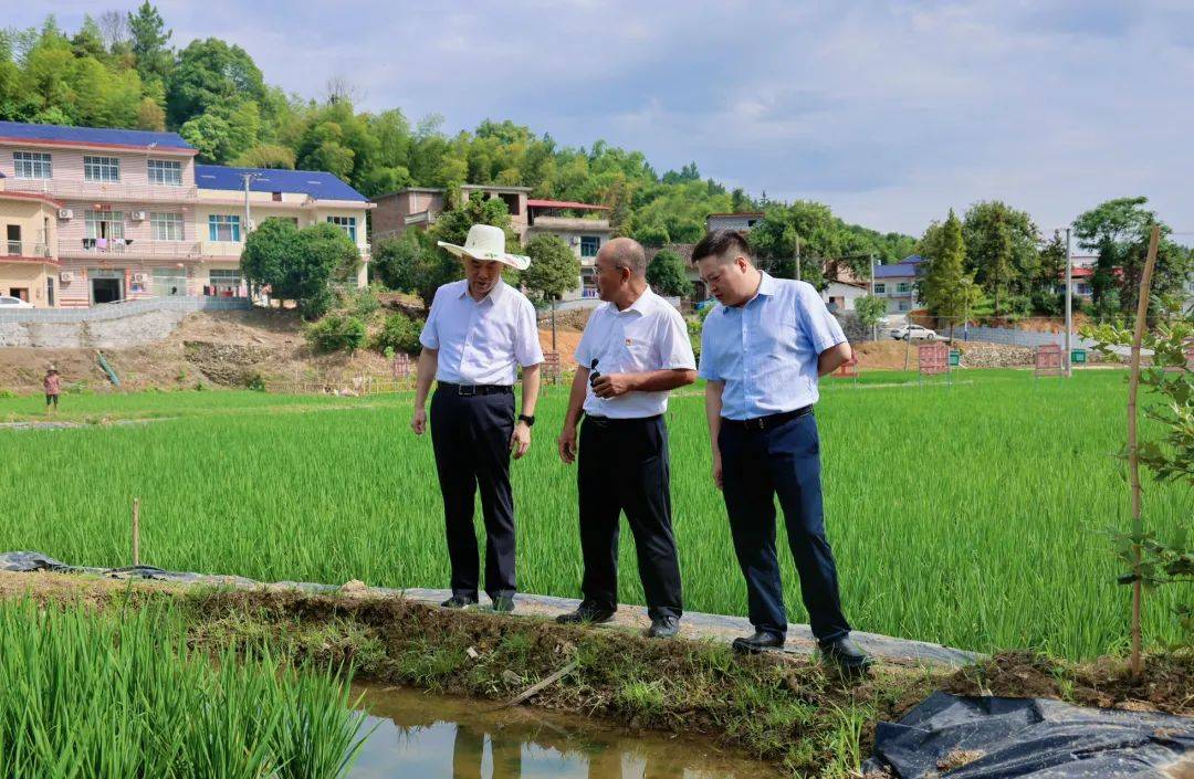 7月31日,县委书记利军,县委副书记