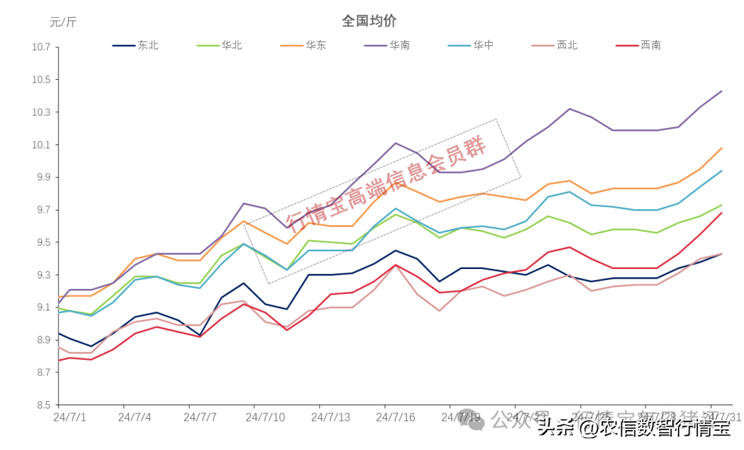 附明日81全国猪价,这些省份全面破10