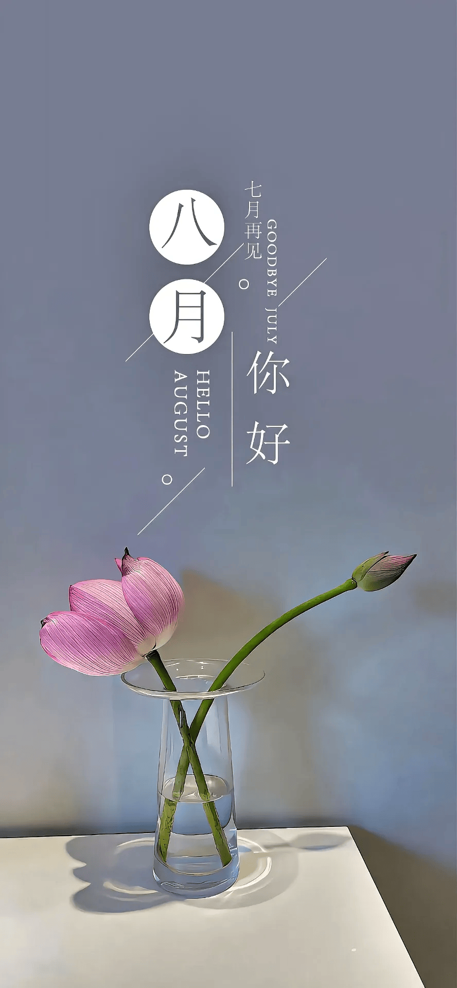 告别七月的遗憾与不舍,迎接八月的希望与梦想,愿你的八月充满阳光和