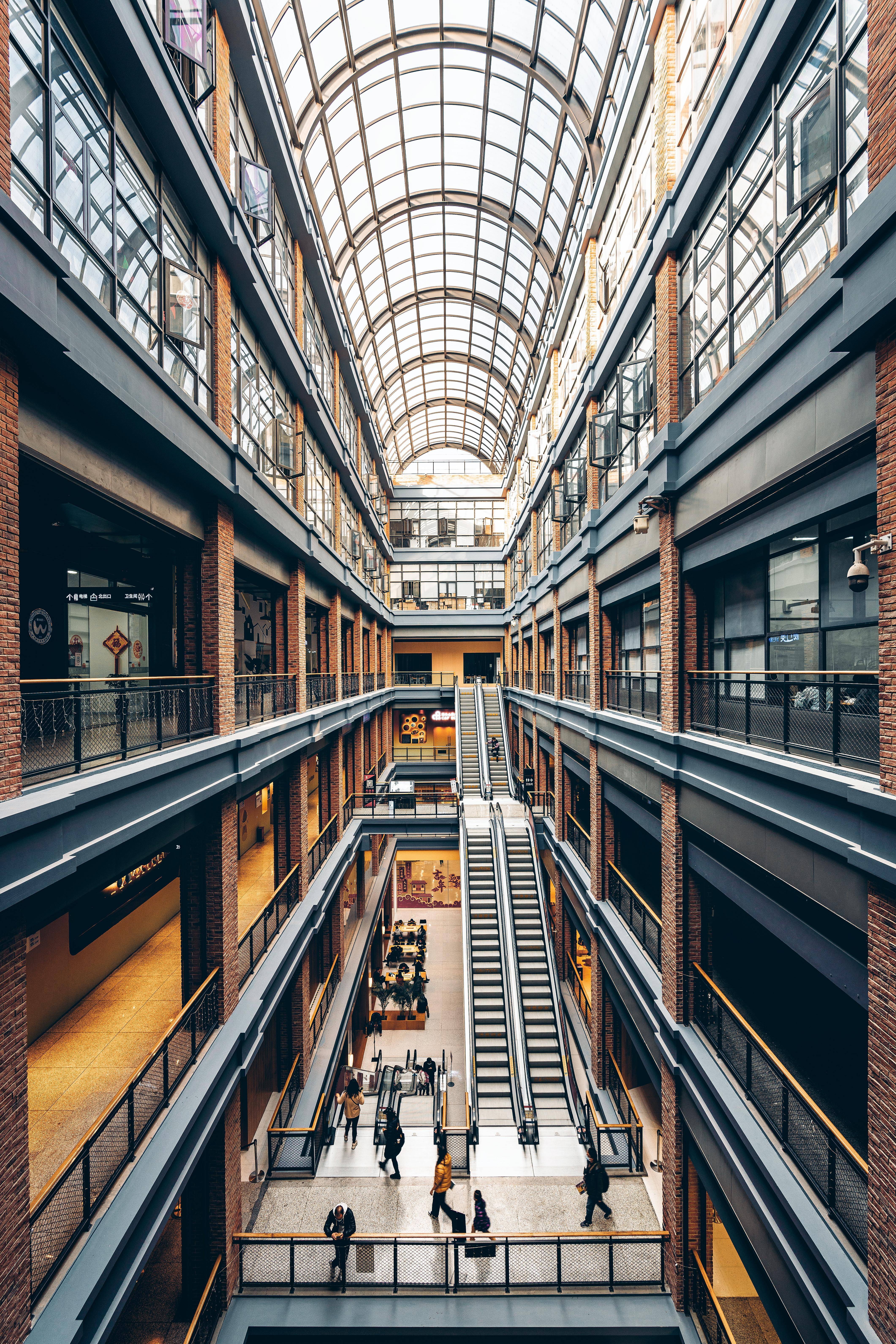 奔流杂志 | 盘龙,向上生长