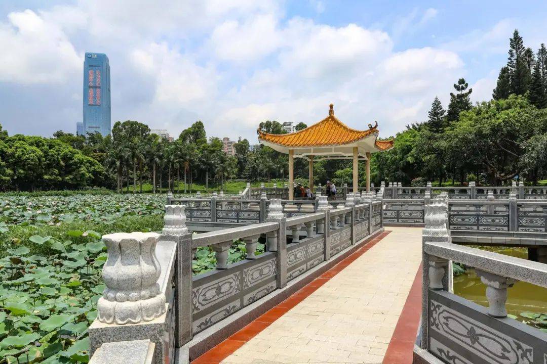 深圳12个值得一去的免费公园!