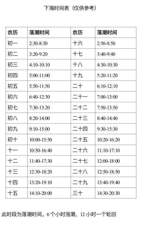 【探索】游玩奉贤渔人码头,这份必备游玩宝典请收好