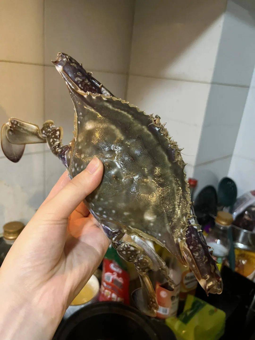 【舟山鲜活梭子蟹】188元起享!到手4斤中蟹!个头大,肉又多,味鲜甜!