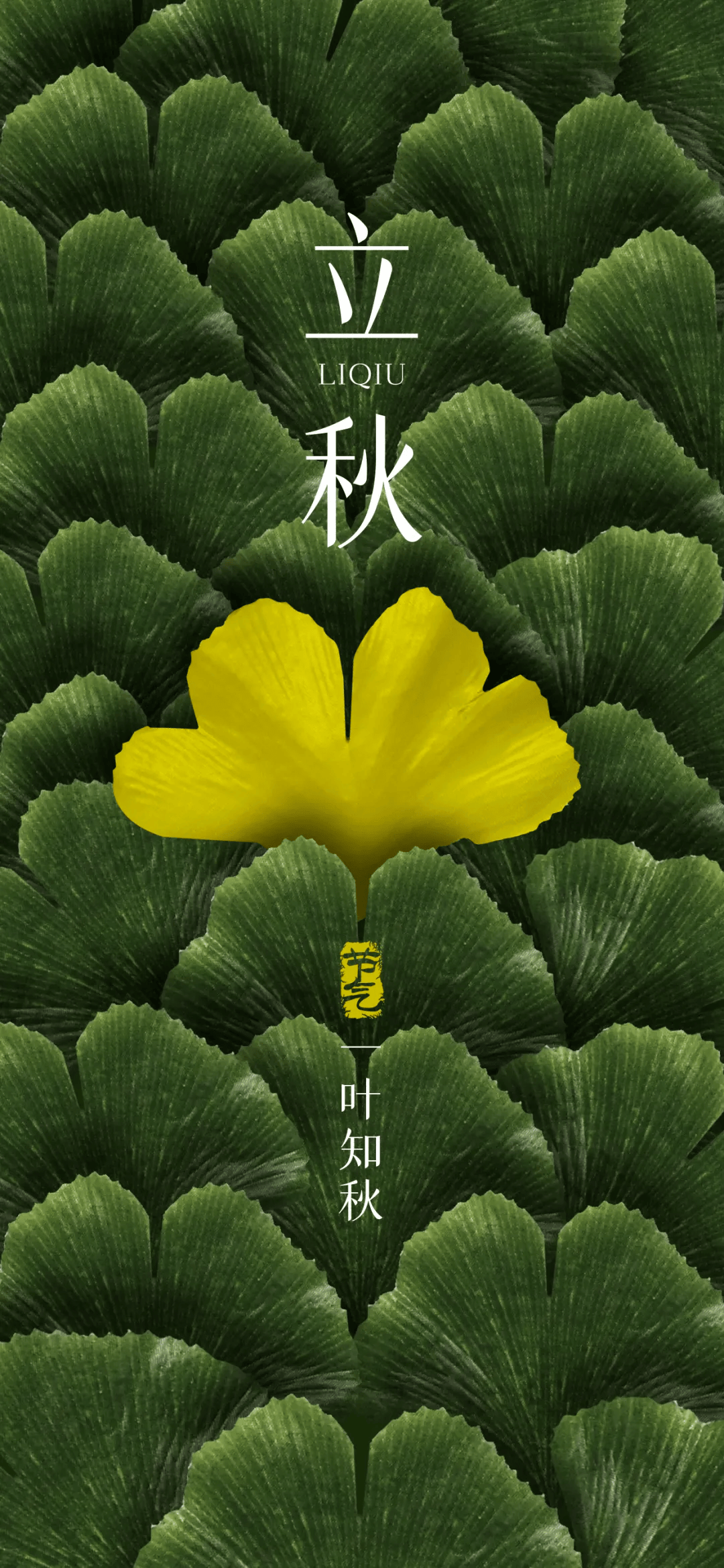 8月7日立秋海报文案 | 是夏的告别,是秋的序章