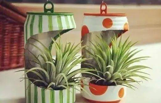 【倡导文明健康绿色环保生活方式】生活越"简"越高级