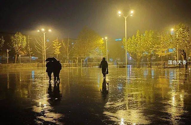秋雨之夜