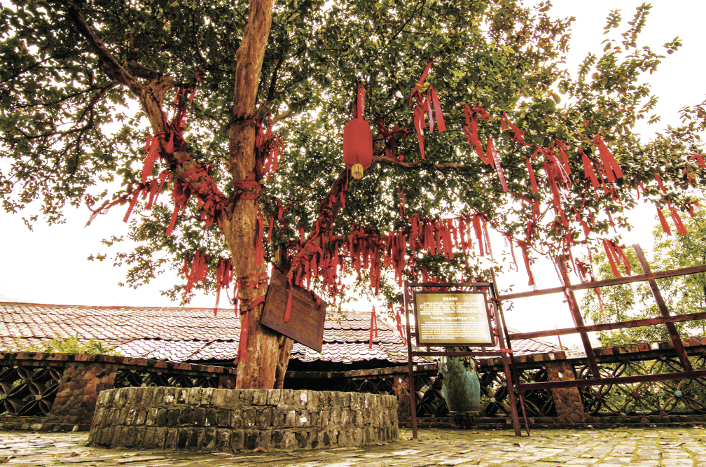 双手合拾诚心祈求,必会心想事成写上共同美好的愿望,一起系到祈福树上