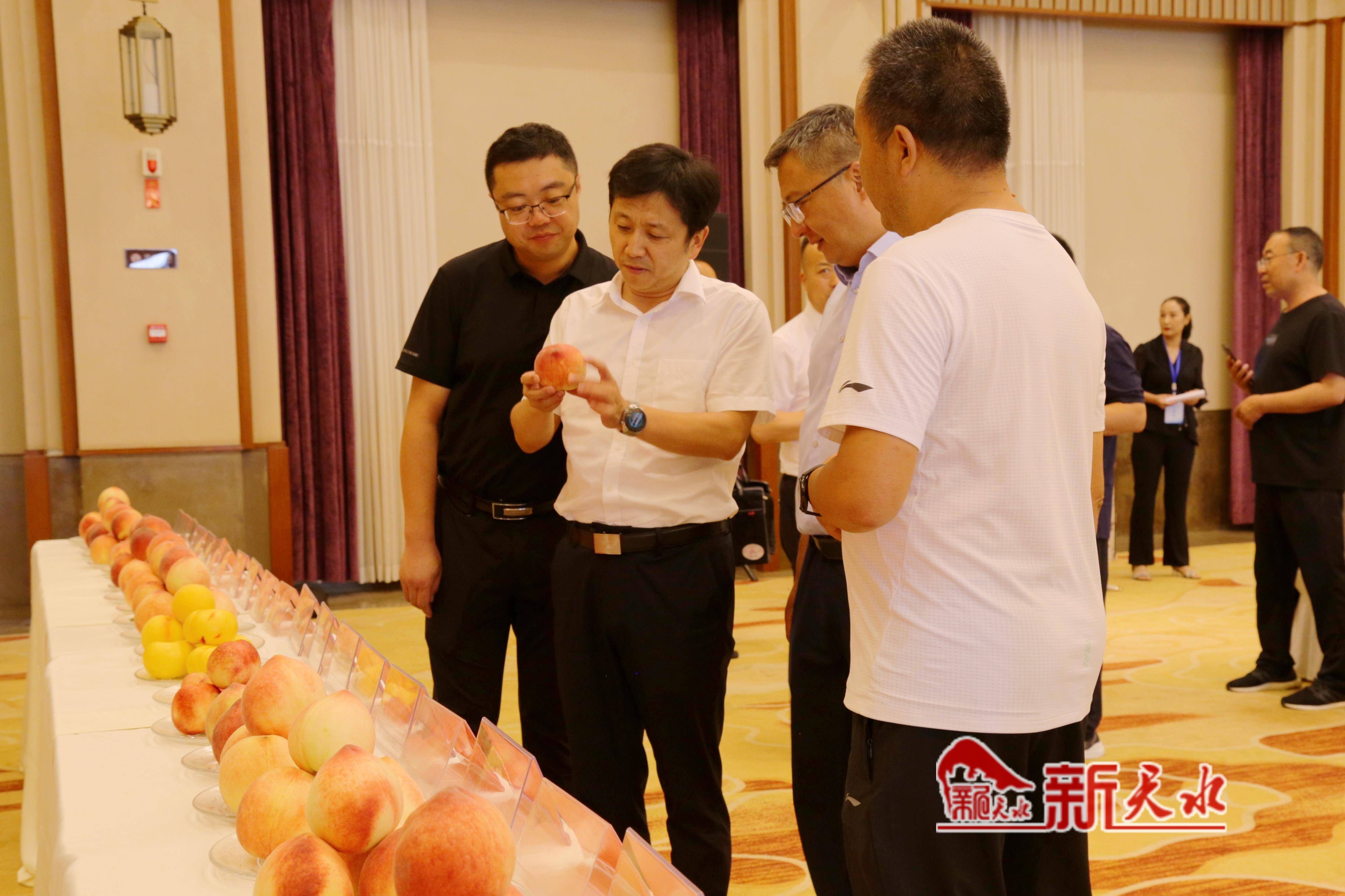 甘肃省农业农村厅副厅长徐利群,国家桃产业技术体系首席科学家,北京市